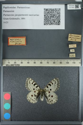 Media type: image;   Entomology 174822